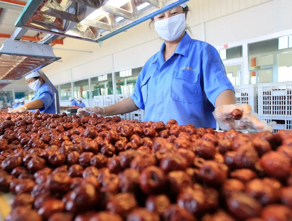 拼出脫貧致富路 一家紅棗合作社的農(nóng)副產(chǎn)品創(chuàng)業(yè)記