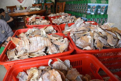 紅星村土特產火熱銷售，單次銷售突破十萬元大關