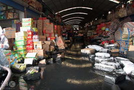 上海一淤泥處理場圍墻倒塌致農副產品市場被淹，應急處置工作展開